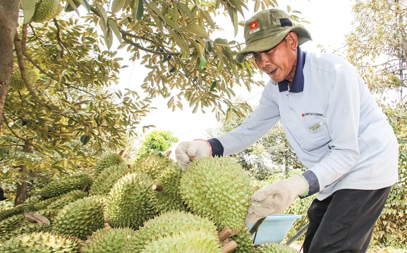 Hình thành hệ sinh thái tài chính xanh cho nông nghiệp xanh, phát thải thấp