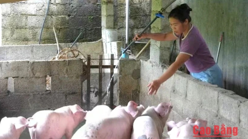 2.527 hộ dân được hỗ trợ vốn phát triển sản xuất, kinh doanh