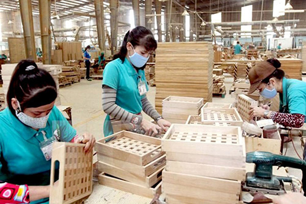 Xuất khẩu gỗ dán sang Mỹ đối diện rủi ro 'rửa' xuất xứ