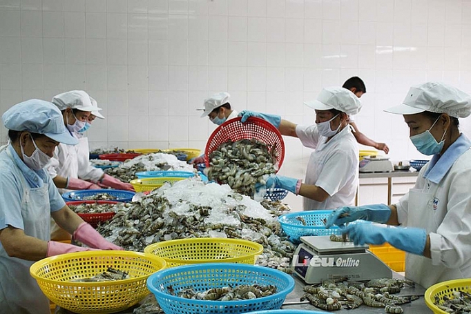 Ứng phó hàng rào phi thuế quan: Phải nắm vững thông tin