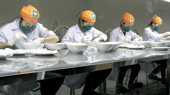 Ngành yến Việt từng bước trưởng thành