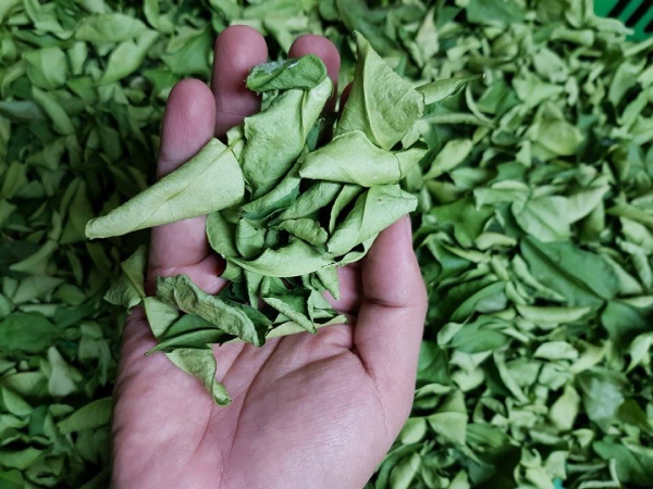 Lá chanh Thái Lan sang Việt Nam, bán gần triệu đồng/kg vẫn hút khách
