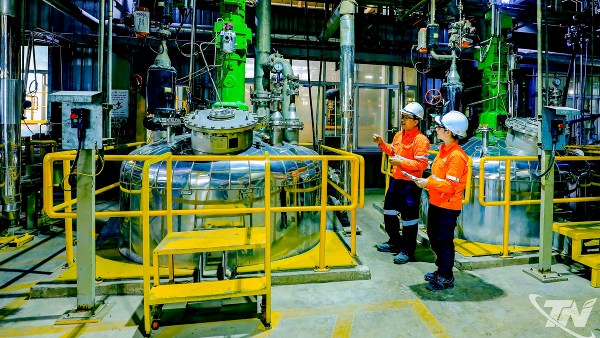 Masan High-Tech Materials: Kiện toàn bộ máy lãnh đạo, tăng tốc phát triển nền tảng vật liệu chiến lược toàn cầu