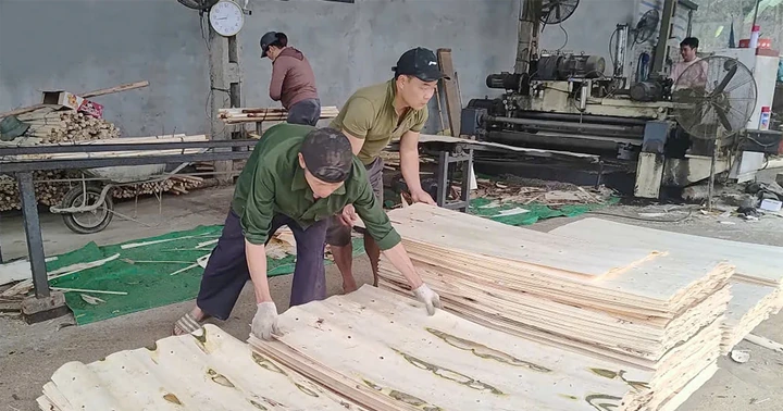 Để ngành chế biến gỗ phát triển bền vững
