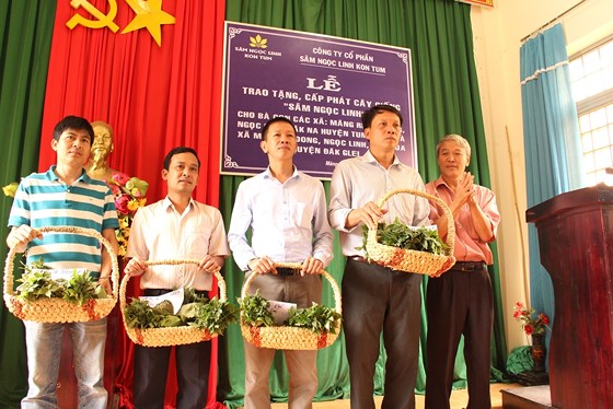 Tặng sâm giống Ngọc Linh cho xã nghèo