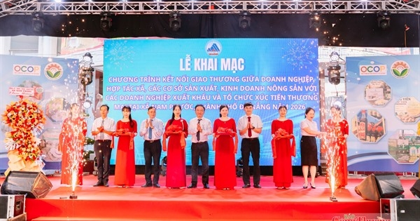 Đà Nẵng: Kết nối giao thương, tìm kiếm cơ hội xuất khẩu cho nông sản