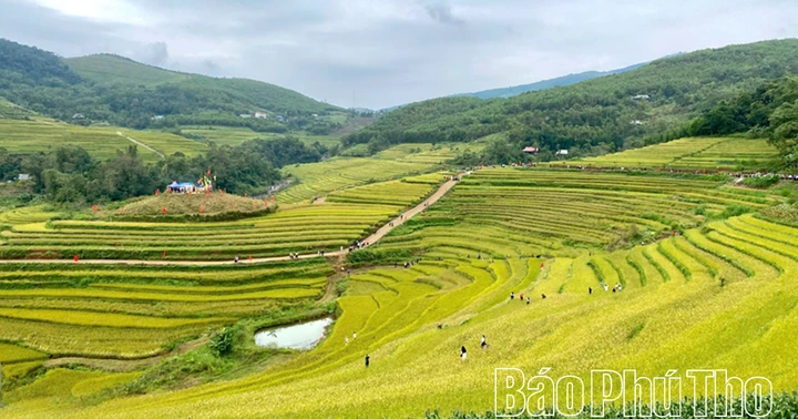 Lễ hội Ruộng bậc thang Miền Đồi năm 2026 sẽ diễn ra trong 2 ngày 24 - 25/10