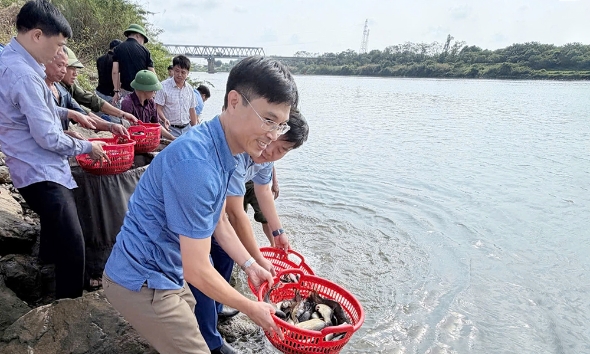 Bắc Ninh: Thả 60.000 con cá giống tái tạo nguồn lợi thuỷ sản