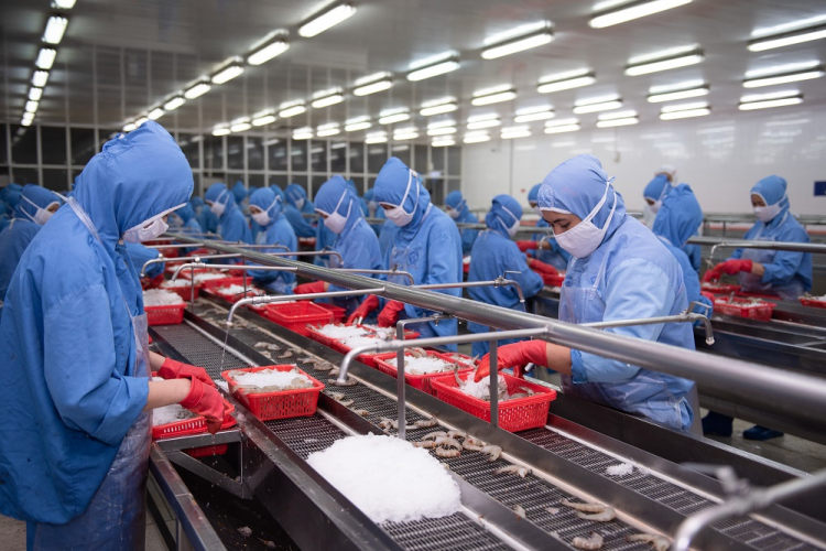 Đón “sóng” chuyển dịch ngành chế biến từ Trung Quốc, phải làm sao?
