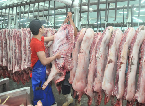 Trữ đông thịt lợn: Cực khó vì năng lực kho chứa có... vấn đề!