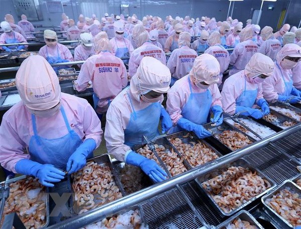 Doanh nghiệp Việt Nam nắm bắt cơ hội tiến vào thị trường châu Phi