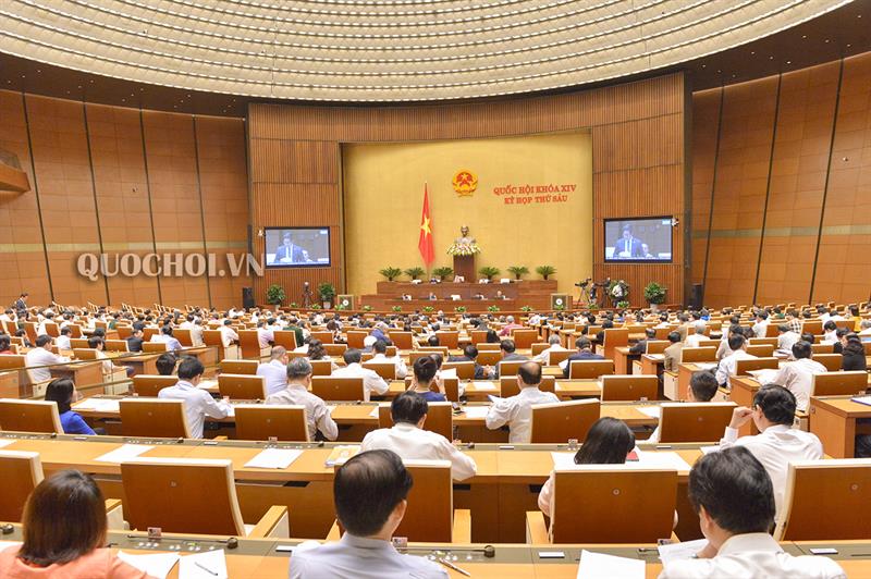Vào CPTPP: Cà phê, hồ tiêu, rau quả mất lợi thế