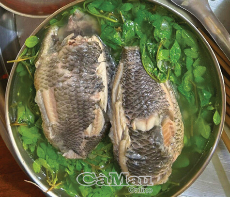 Vị ngọt rau đắng đất