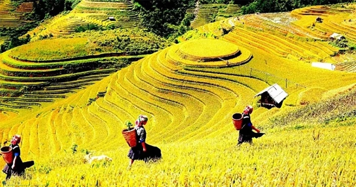 Việt Nam đứng thứ 4 trong 15 điểm đến dẫn đầu xu hướng du lịch mùa thu 2026