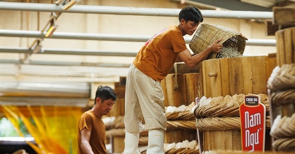 ‘Theo dấu’ cá cơm, nghe biển khơi kể câu chuyện nước mắm!