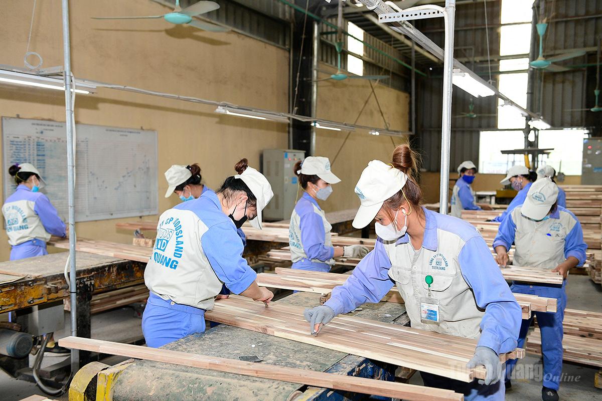 Công nhân Công ty Cổ phần Woodsland Tuyên Quang sản xuất gỗ xuất khẩu sang thị trường EU.