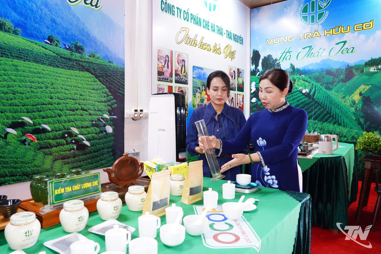 Bà Nguyễn Thị Hiền, Chủ tịch Hội đồng quản trị Công ty CP Chè Hà Thái, kiên trì phát triển chè hữu cơ, nâng giá trị sản phẩm quê hương.