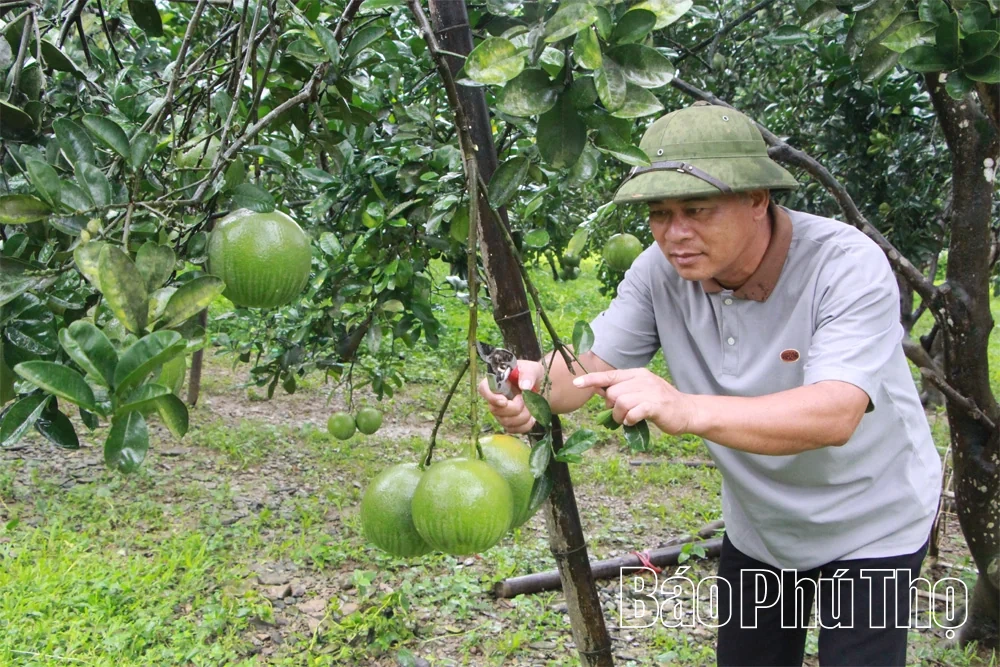 Thượng Long phát huy bản sắc văn hóa dân tộc gắn với phát triển du lịch