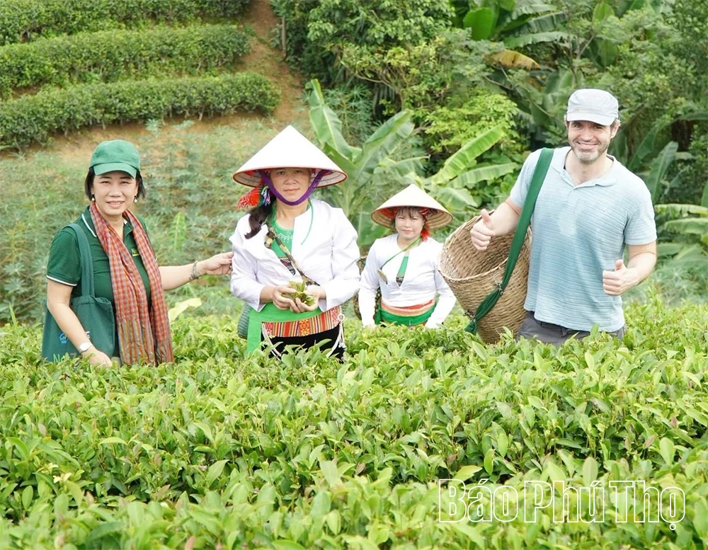 Sản xuất xanh để phát triển bền vững