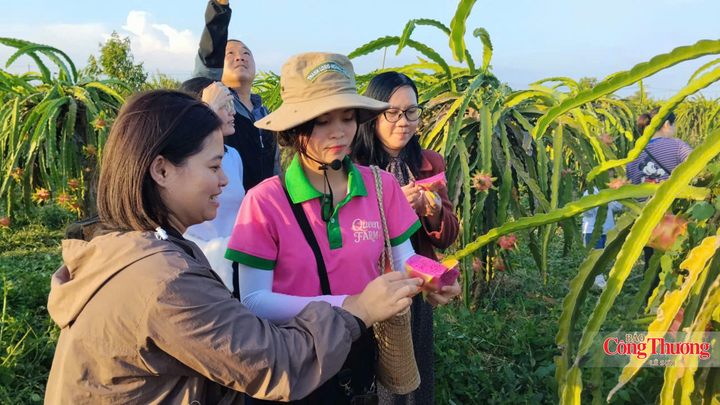 Kim ngạch xuất khẩu rau, củ, trái cây đạt 49,8 triệu USD, tăng trưởng đột biến gần 300% so với cùng kỳ năm trước.