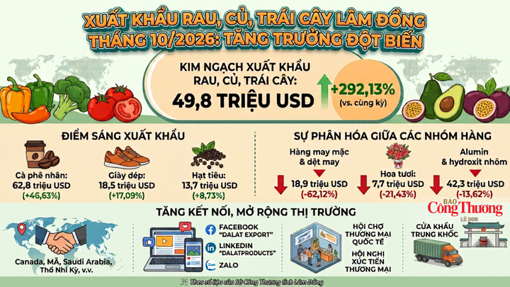 Tổng quan tình hình xuất khẩu hàng hóa tỉnh Lâm Đồng tháng 10/2026 với điểm sáng đột biến từ nhóm rau, củ, trái cây.